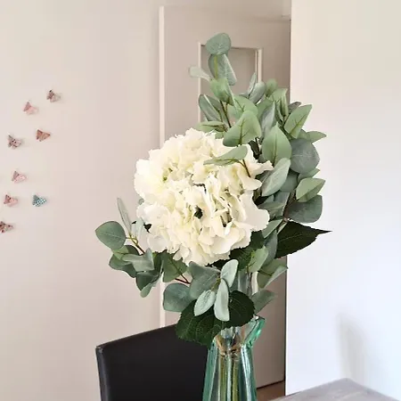 Dans Les Nuages - Entree Autonome - Centre *